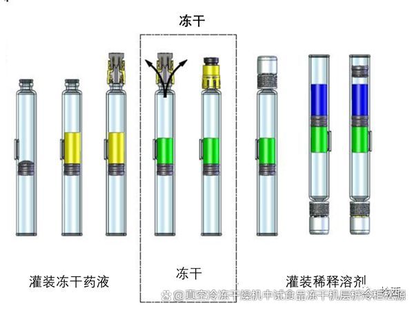 双腔预充针冻干产品