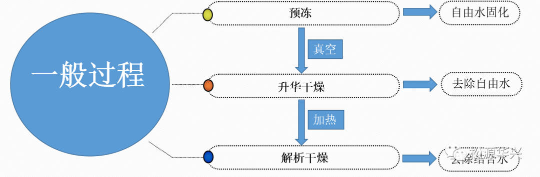 药用冻干机