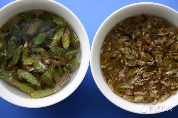 冷冻干燥铁皮石斛